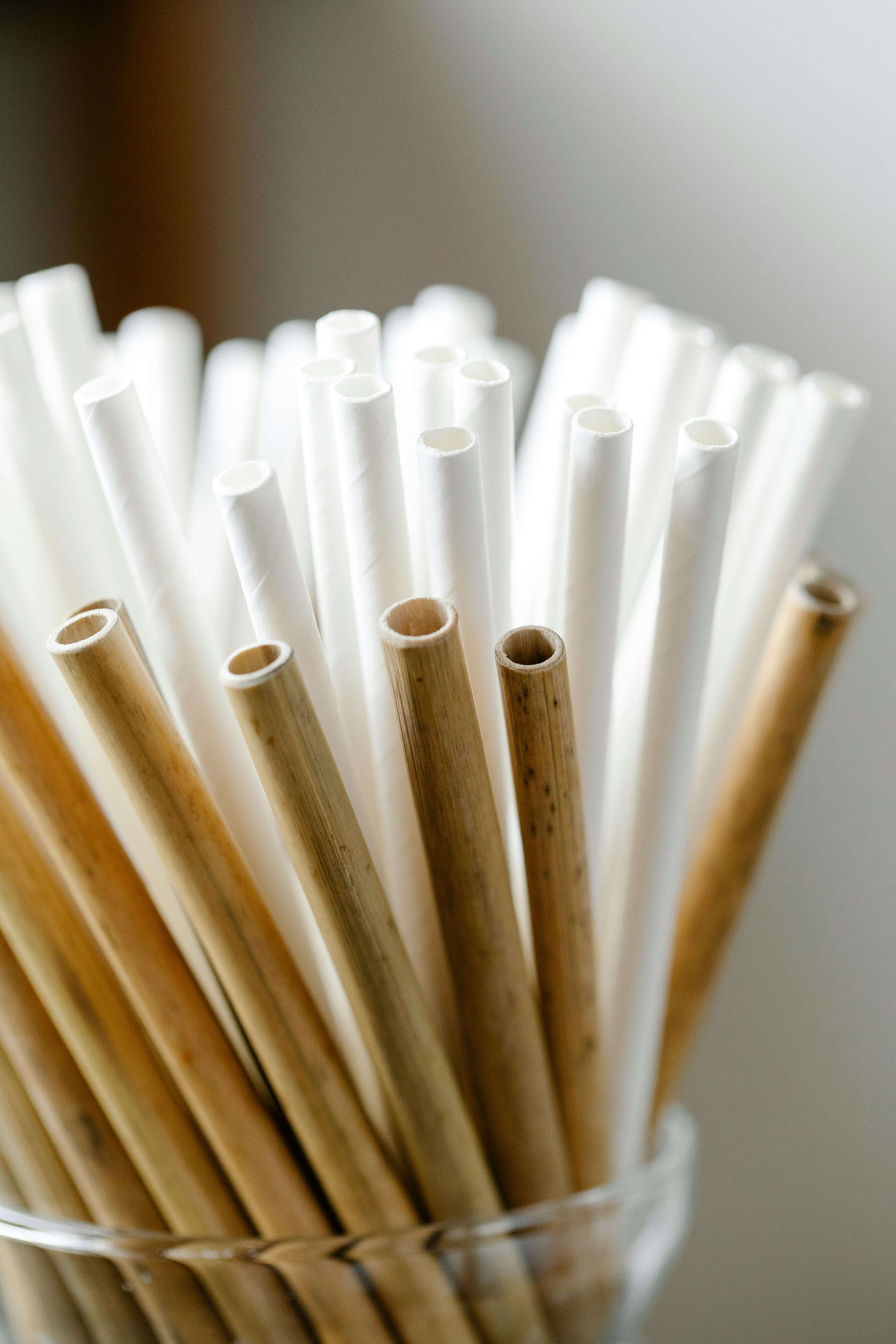 Cómo organizar fiestas sostenibles, eventos con mínimo impacto ambiental